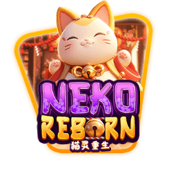 Cat Spirit Rebirth